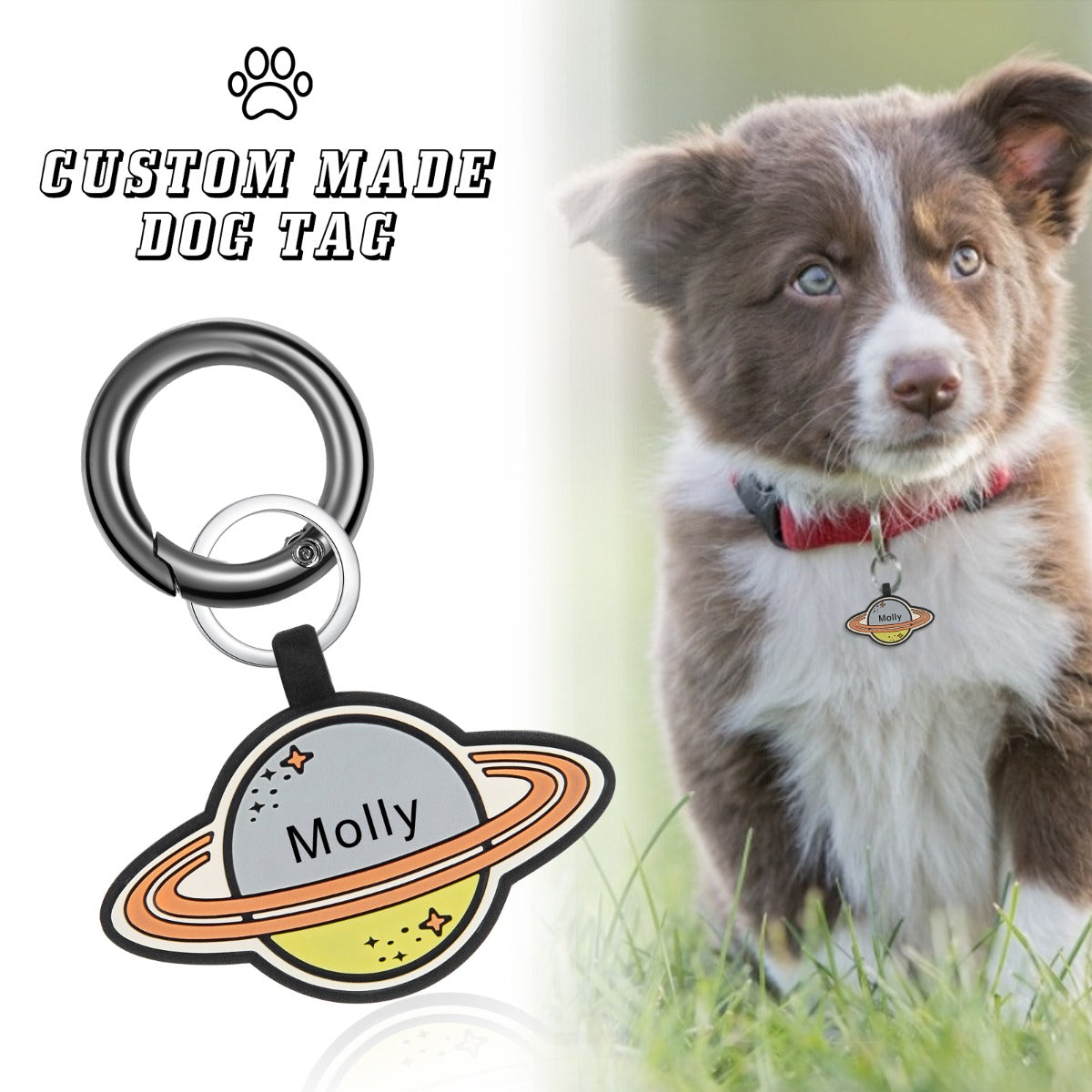 Personalized Silica gel Dog Tag