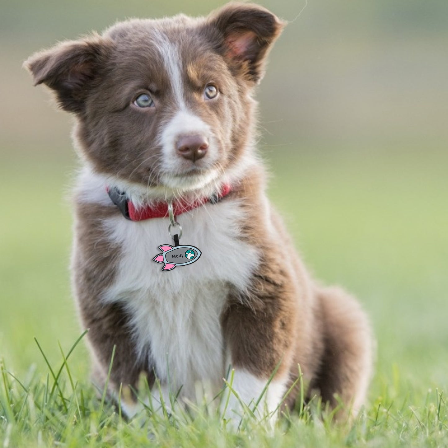 Personalized Rocket Dog Tag