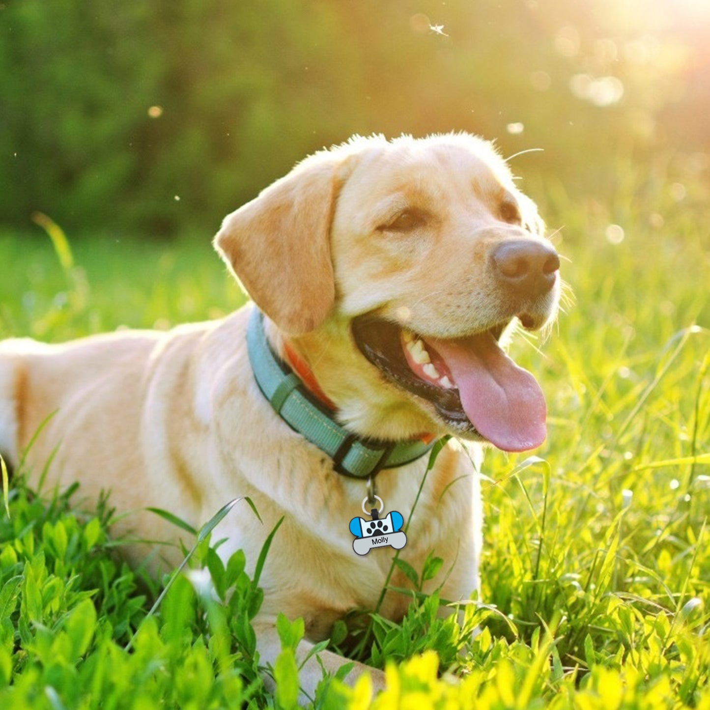 Personalized Silica Gel Bone Dog Tag